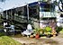 2005 Newmar Dutch Star for sale 300186761